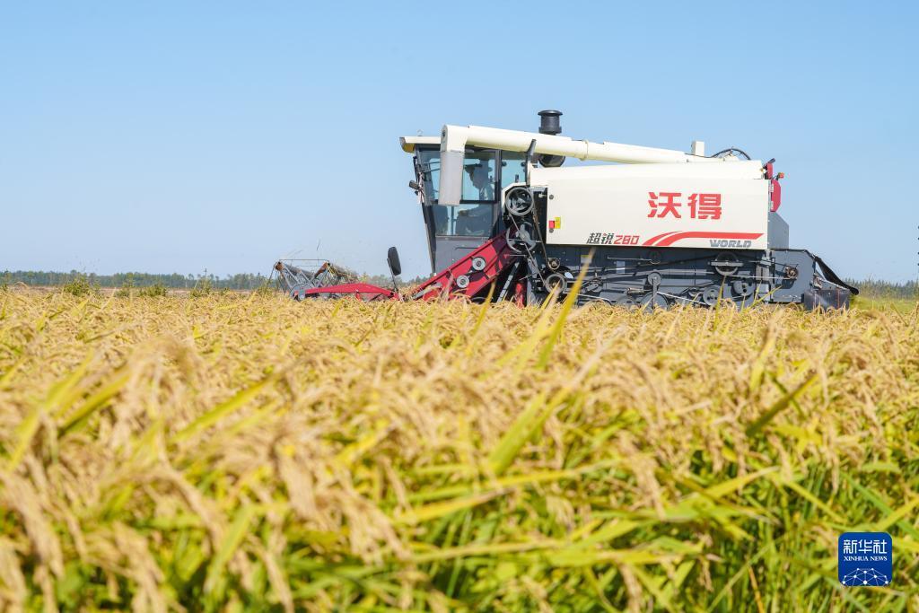冰球突破怎么玩容易赢
